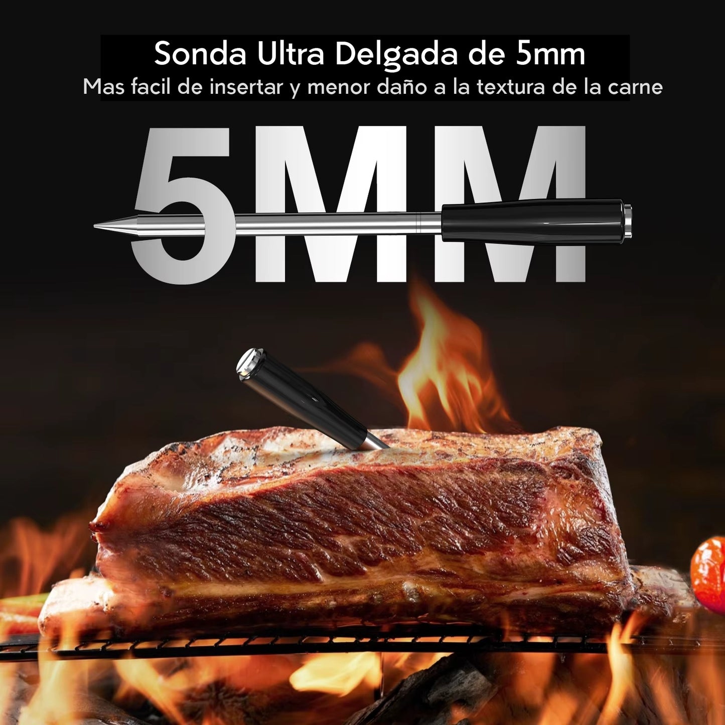 TERMOMETRO INALAMBRICO CON APP IOS/ANDROID