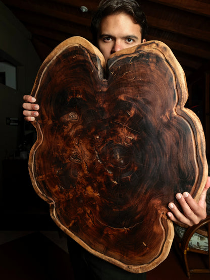 Tabla 1 OF 1 - REF 4